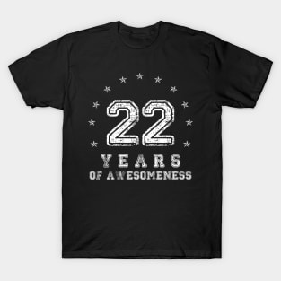 Vintage 22 years of awesomeness T-Shirt